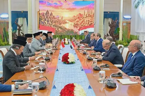 Egypt, Indonesia plan visa, fisheries and statistics agreements during El-Sisi visit: Minister