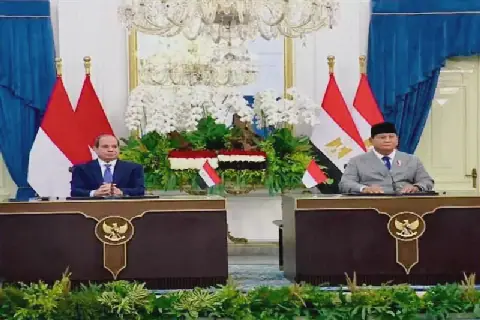El-Sisi reaffirms Egypt’s Nile water rights in talks with Indonesian president