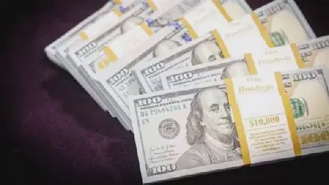 Egyptian Banks See Rise in US Dollar Exchange Rate
