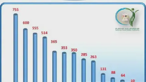 Egypt's Food Exports Reach 190,000 Tons in One Week