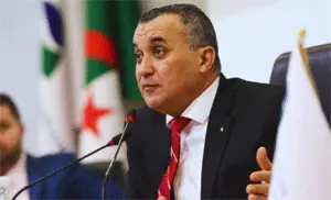 Algeria Reaches 4 Million Fiber-Optic Connections