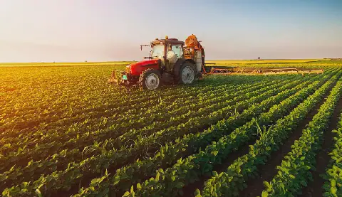 La Tunisie lance un recensement agricole pour améliorer la planification et les investissements