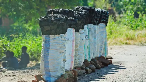 Charcoal market thrives as power and gas shortages persist in Malawi
