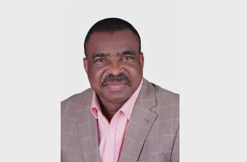Experts Weigh In on Establishing State Police in Nigeria