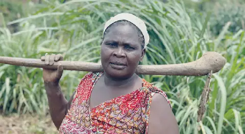 Malawi faces 300,000 metric tonne fertiliser gap
