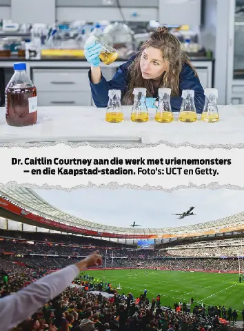 Researchers Praise Urine of Rugby Fans for a Good Cause
