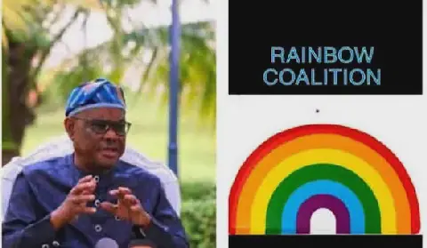 Wike's Rainbow Coalition Sparks Debate Over European Influence