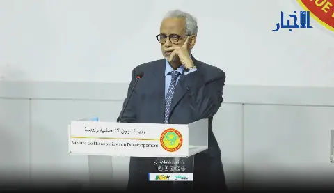 Mauritania's Ex-Economics Minister Removed from Government While on Official Mission in Thailand