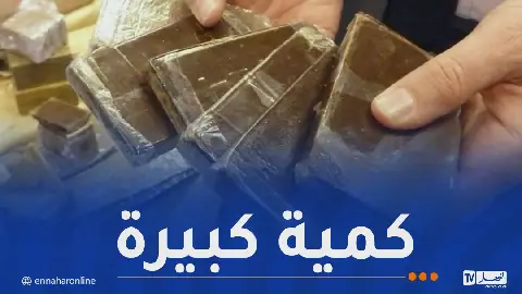 Algerian Authorities Dismantle Major Drug Trafficking Network