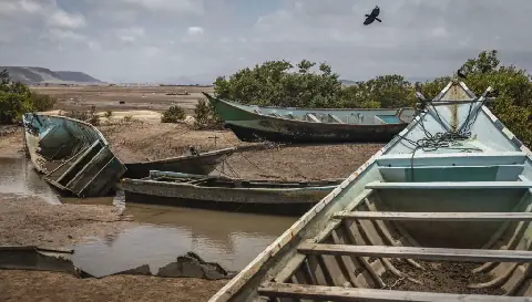 At least 139 migrants dead, 116 missing after boat sinks off Djibouti coast