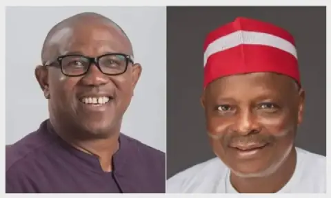 Obi, Kwankwaso to Choose Key Members of NDC Campaign Council
