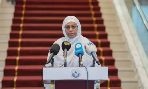 Mauritania's New Government: Key Changes and Shifts in Power