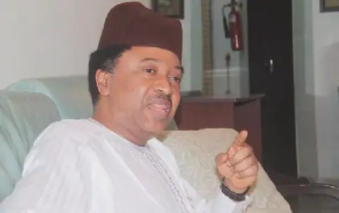 Shehu Sani Advises Affected Candidates Not to Challenge INEC's List in Court