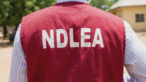 NDLEA Rearrests 83-Year-Old Grandma with Meth, Seizes Large Consignments of Illicit Drugs Across Nigeria