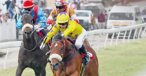 Cumbre Vieja Wins The Princess Margaret Cup in Record Time