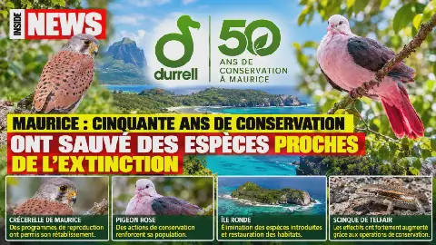 Mauritius Celebrates 50 Years of Conservation Efforts