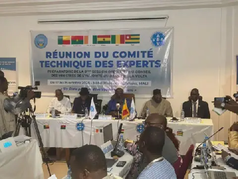 Mali: Experts Convene to Strengthen Governance and Financial Transparency of ABV