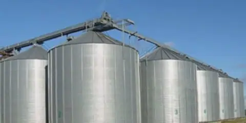 Egypt's Strategic Food Reserves Deemed Secure for Over 6 Months