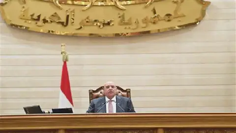 Egypt's Parliament to Discuss New Law for Family Support Fund