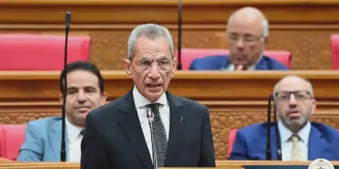 Egyptian Parliament Approves Removal of Article 25 from Kayan University Law