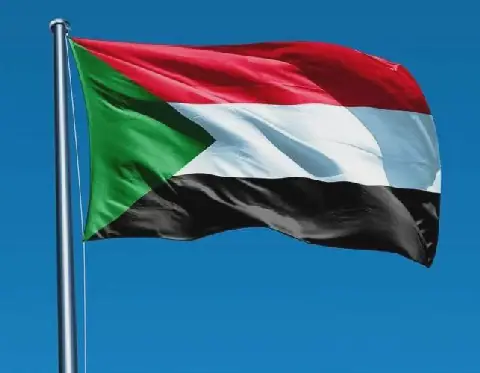 Sudan Arrests Perpetrator of Fatal Shooting of Two Egyptian Drivers in Khartoum