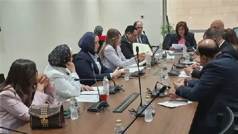 Egyptian Parliament's Tourism Committee Discusses Aviation Sector Plans