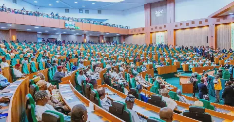 Reps quiz DMO, TCN over N54.57tn borrowing, N446.7bn debt