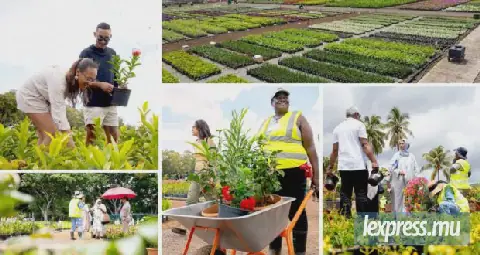 Mauritius' Gros Cailloux Garden Festival Showcases 100,000 Plants