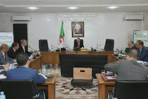 Algerian Government Redirects Private Car Imports from Mostaganem to Jijel Port