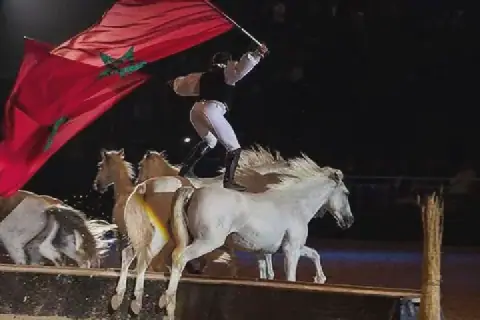 The 17th Edition of the El Jadida Horse Show Kicks Off