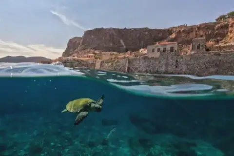 World leaders urged to 'course correct' as UN nature goals fall short