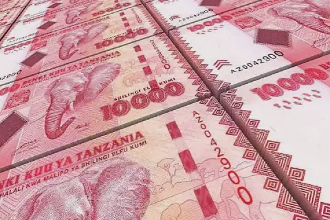 Experts advise Tanzanian firms to tap capital markets for $1 trillion economy