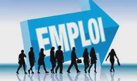 Conseil de l'Europe Offers 140 Opportunities for Experts in Tunisia and Southern Mediterranean