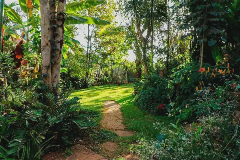 Inside a 500 species collector’s garden in Kenya