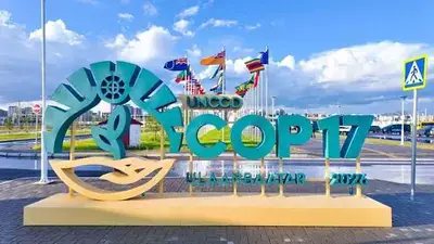 South Africa pushes for biodiversity funding at COP17
