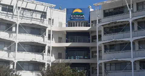 The Coega Development Corporation plans to begin construction of a solar project in the Eastern Cape at the end of 2027, with the estimated R1.5bn investment intended to supply electricity to businesses in its industrial zone and a logistics park in Kariega. Picture: Freddy Mavunda/Business Day