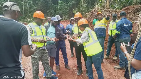 Gabon/Activités parlementaires : la députée du deuxième siège du département de Mougoutsi au cœur du projet de Milingui