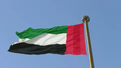 UAE's $5 Billion Loan to Nigeria Raises Concerns Over Economic and Political Risks