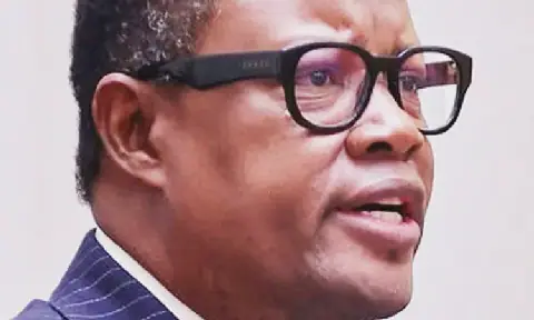 Venaani proposes community trusts for mining royalties in Namibia
