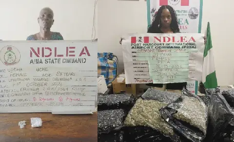 NDLEA Rearrests 83-Year-Old Grandma for Drug Trafficking, Nabs South African Woman