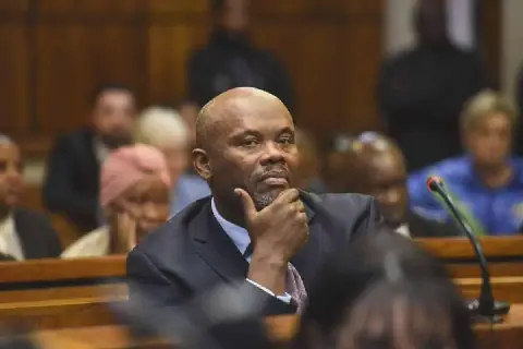 Lieutenant General Shadrack Sibiya's SAPS Career Ends in Dishonourable Discharge