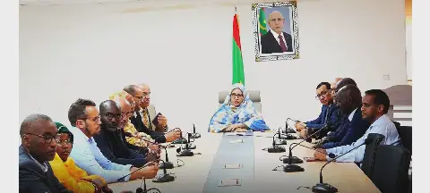 Mauritania's Environment Minister Unveils Plan to Transform Benichab into a Green City