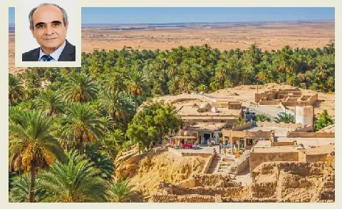 Tunisian Date Palm Sector Faces Water Scarcity Challenges