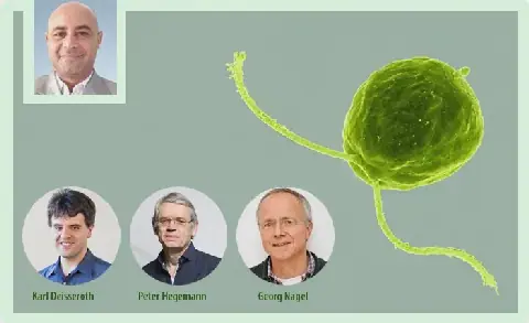 Nobel Prize in Physiology or Medicine 2026: Breakthroughs in Optogenetics