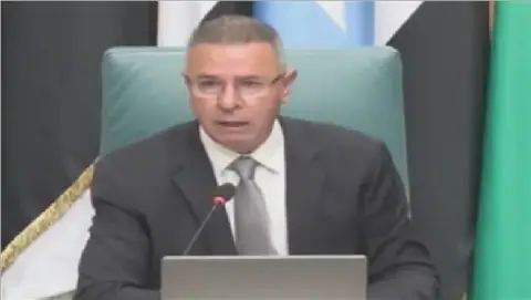 Egyptian Diplomat Emphasizes Palestinian Rights