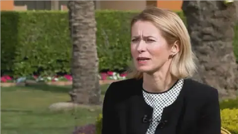 EU Official Condemns Iran's Actions as Destabilizing Beyond the Middle East