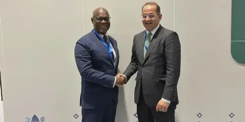 Egypt, DR Congo to Boost Economic Partnership with Private Sector