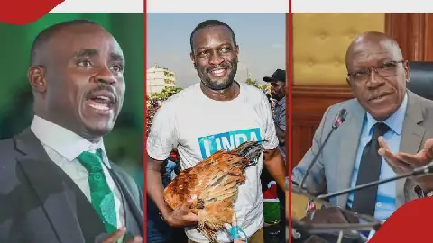 Former Kakamega Senator Cleophas Malala warns Senator Edwin Sifuna against meddling in county race