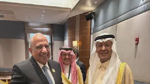 Egypt, Saudi Arabia to Launch 3000 MW Power Link Project Soon