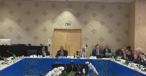 Egyptian Foreign Minister Emphasizes Global Food Security's Dependence on Stable Supply Chains